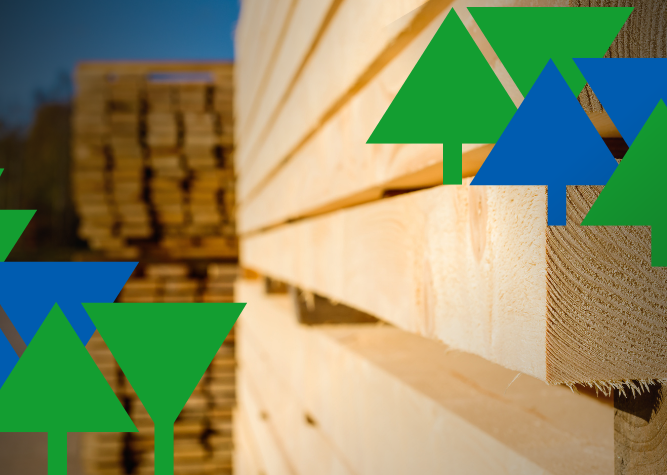 Softwood Lumber